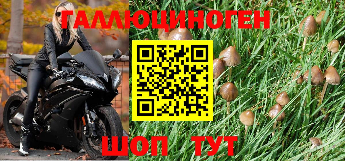 Иваново  Псилоцибиновые грибы Magic Shrooms  Псилоцибиновые грибы Psilocybine cubensis  Вход с VPN 