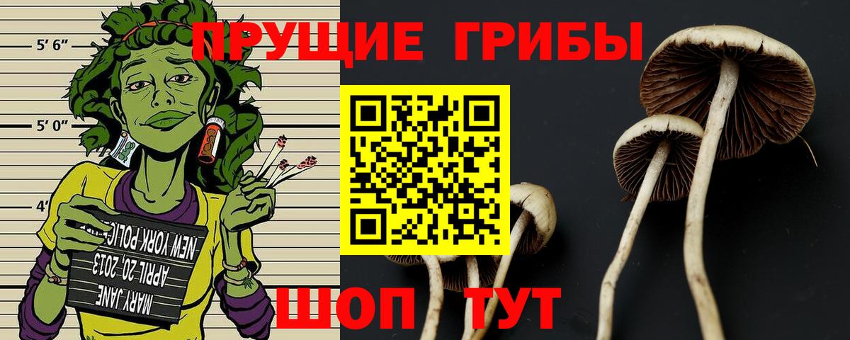 Галлюциногенные грибы MAGIC MUSHROOMS Иваново